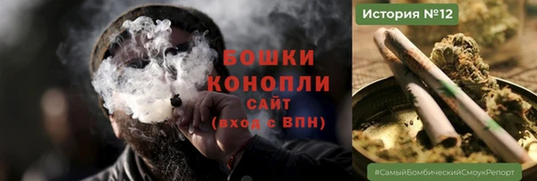 хмурый Инта