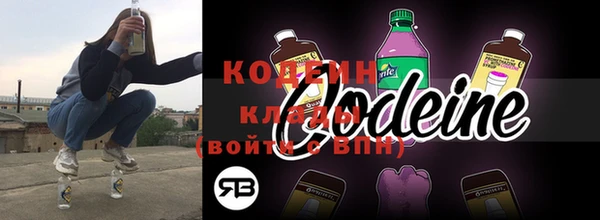 хмурый Инта