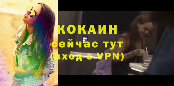 хмурый Инта