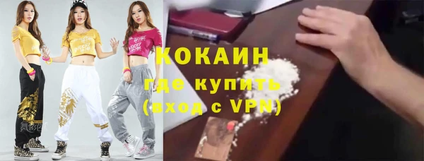 хмурый Инта