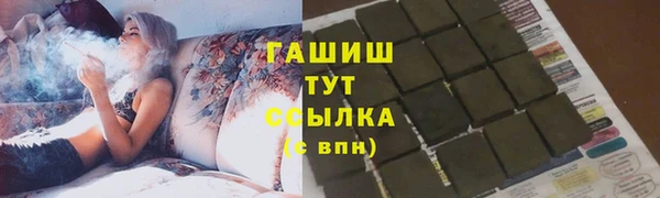 хмурый Инта