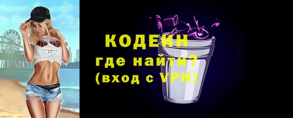 хмурый Инта