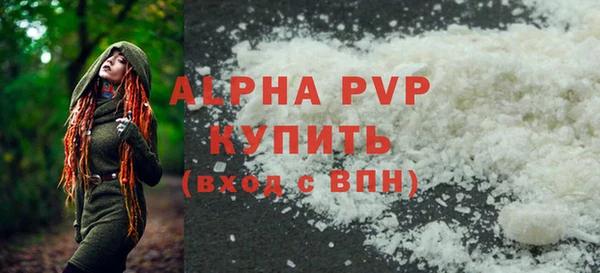 хмурый Инта