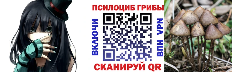 Галлюциногенные грибы Cubensis  Купить  Ейск 